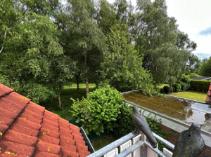 14_Balkon-4_Groß (IMG_0900)