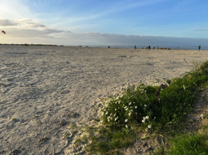 16_Groß (Strand-9_IMG_1143)