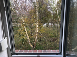 30_Umgebung-4 Blick auf die Harle_Groß (IMG_1933)