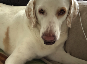 Zoe-1_21.09.2024_IMG_3167