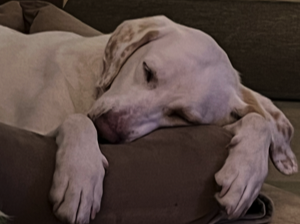 Zoe-2_21.09.2024_IMG_1568